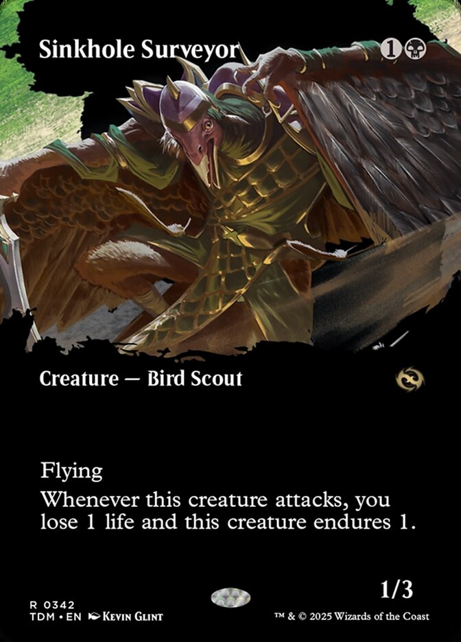 Sinkhole Surveyor Borderless