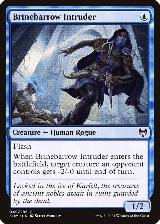 Brinebarrow Intruder Foil