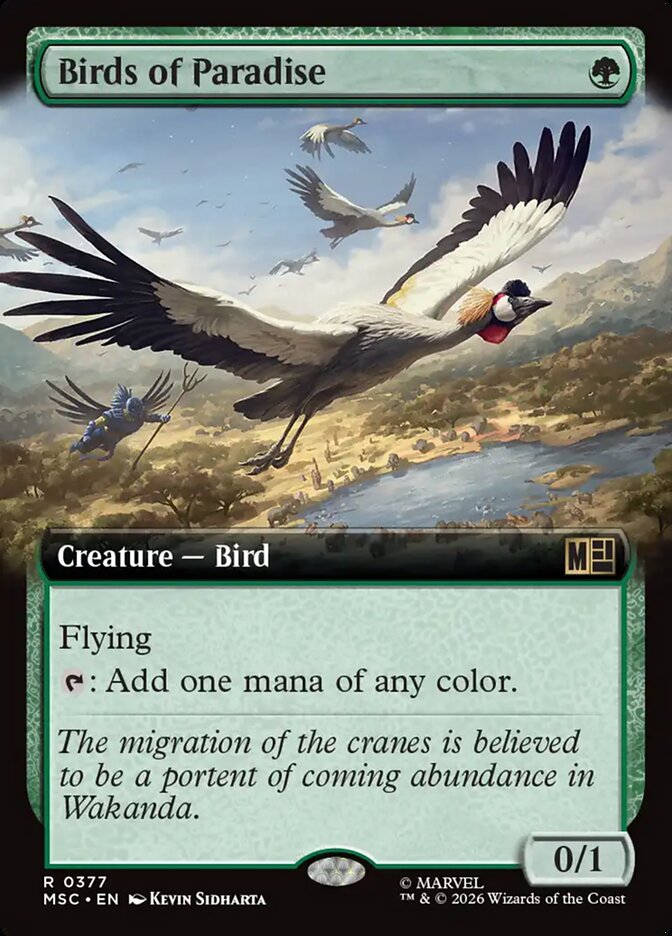 Birds of Paradise Extended Art