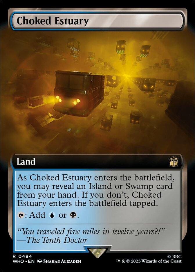 Choked Estuary Extended Art