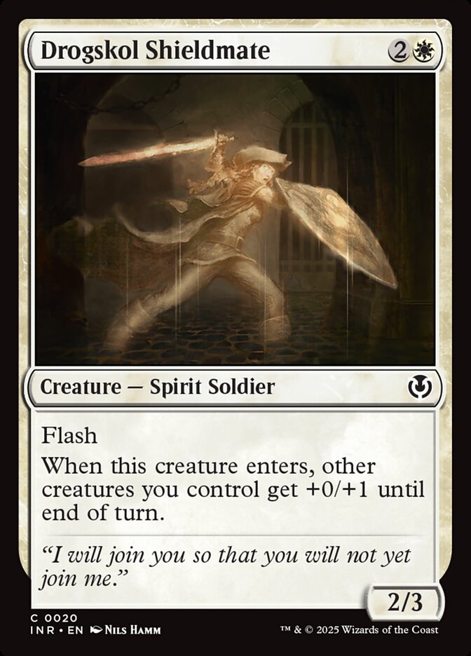 Drogskol Shieldmate Foil