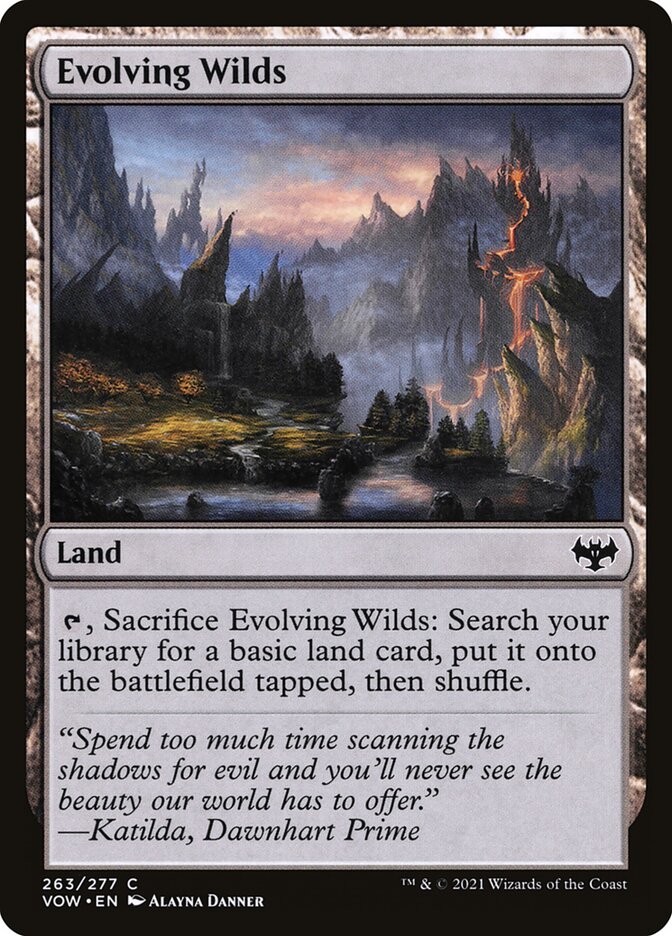 Evolving Wilds Foil