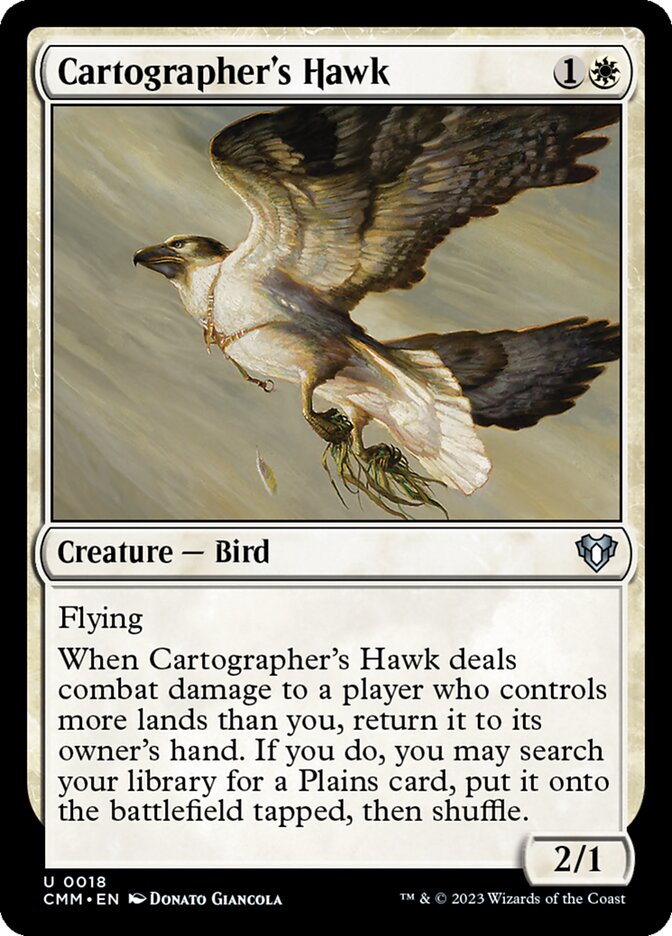 Cartographer's Hawk Foil