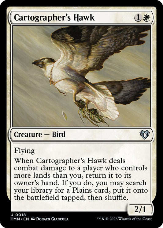 Cartographer's Hawk Foil