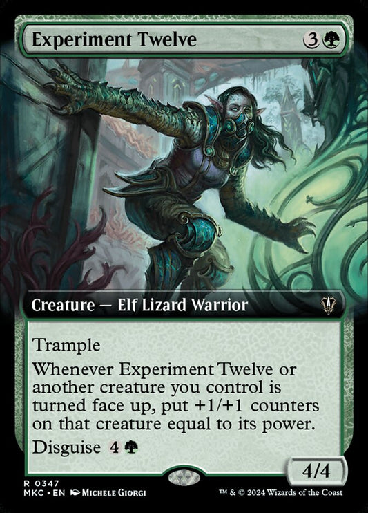 Experiment Twelve Extended Art