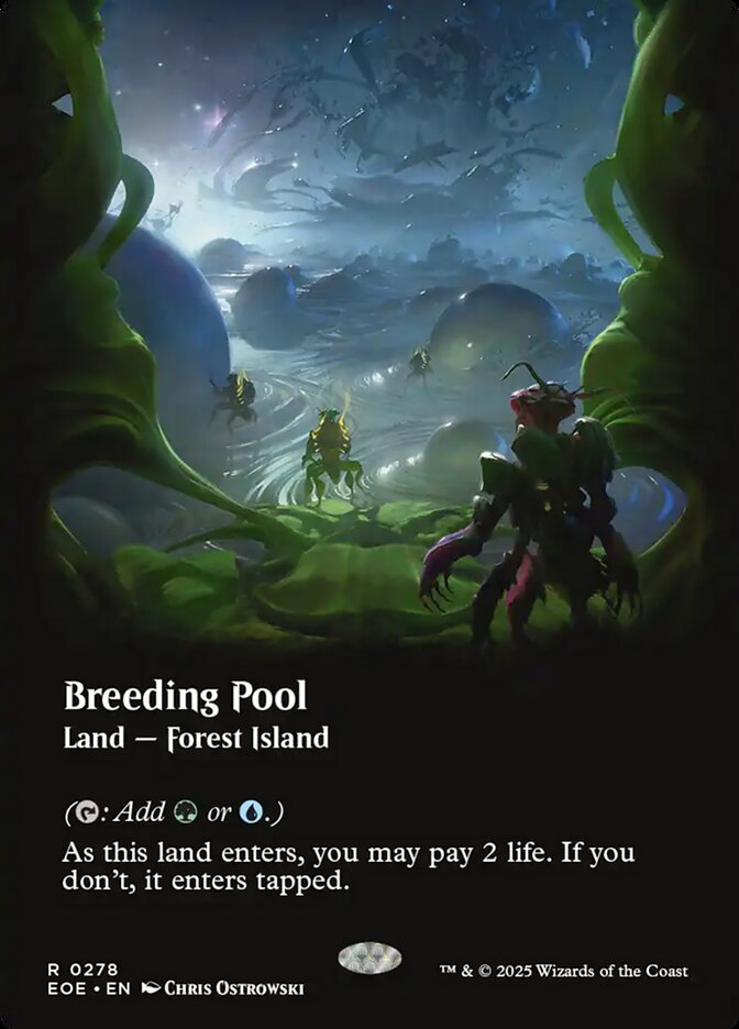 Breeding Pool Borderless