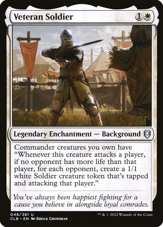 Veteran Soldier Foil