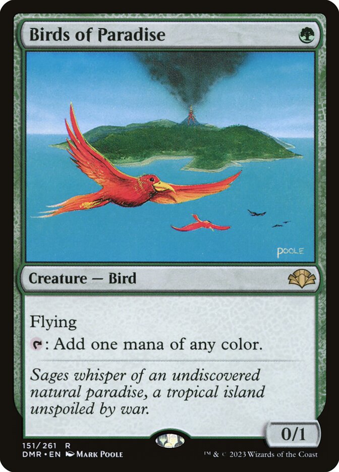 Birds of Paradise Foil
