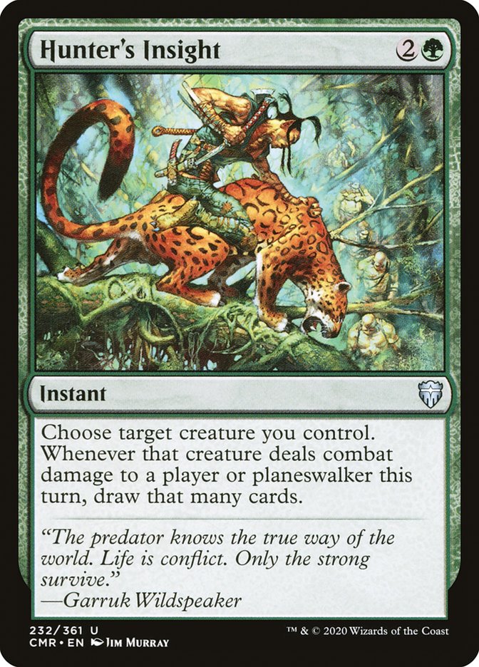 Hunter's Insight Foil