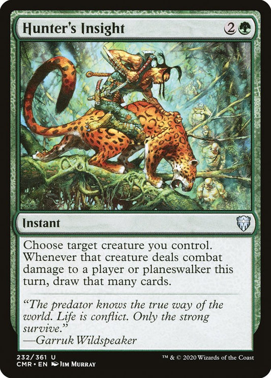 Hunter's Insight Foil