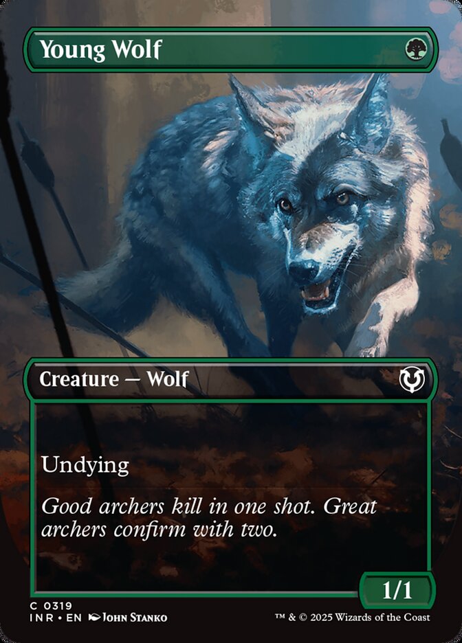 Young Wolf Borderless