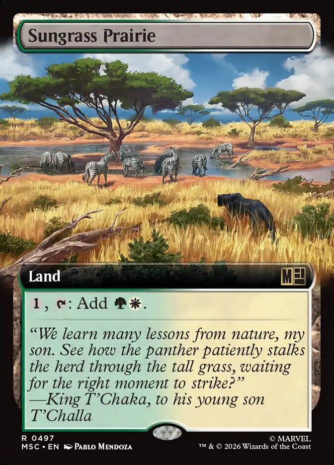 Sungrass Prairie Extended Art