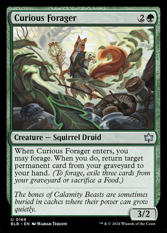 Curious Forager Foil