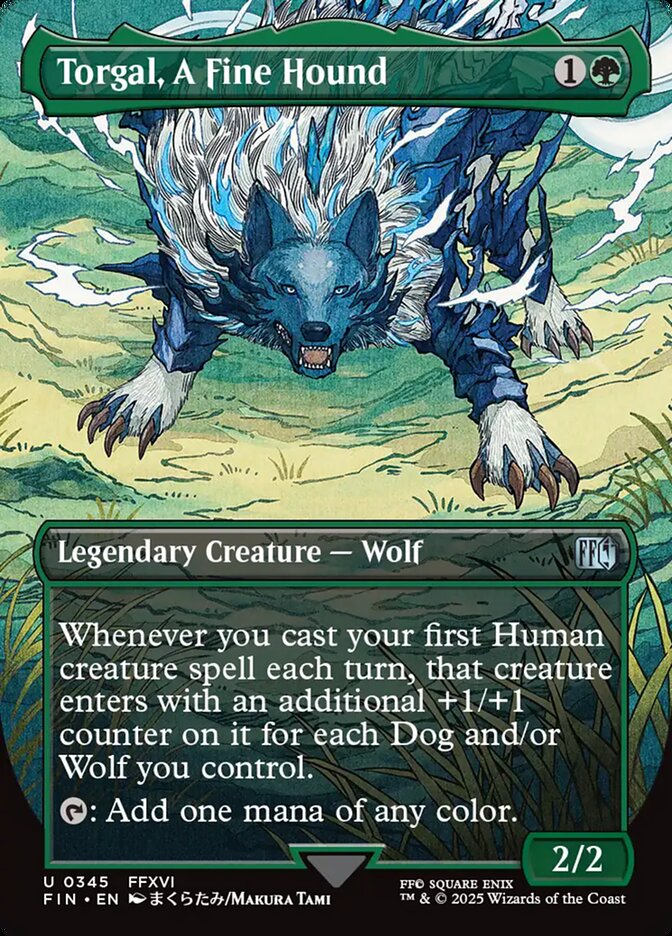 Torgal, A Fine Hound Borderless