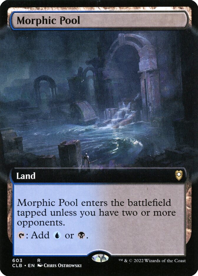 Morphic Pool Extended Art