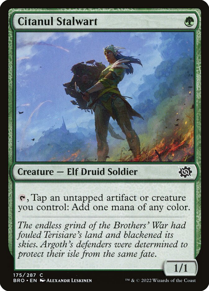 Citanul Stalwart Foil