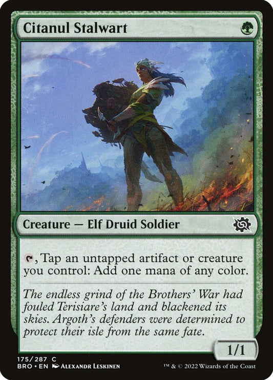 Citanul Stalwart Foil
