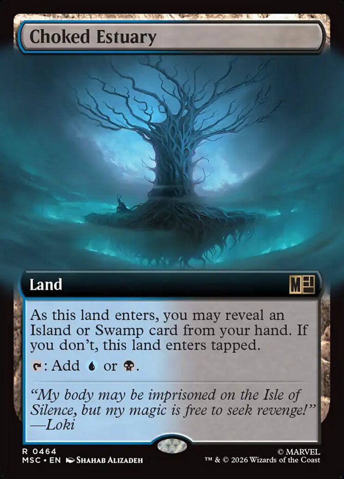 Choked Estuary Extended Art