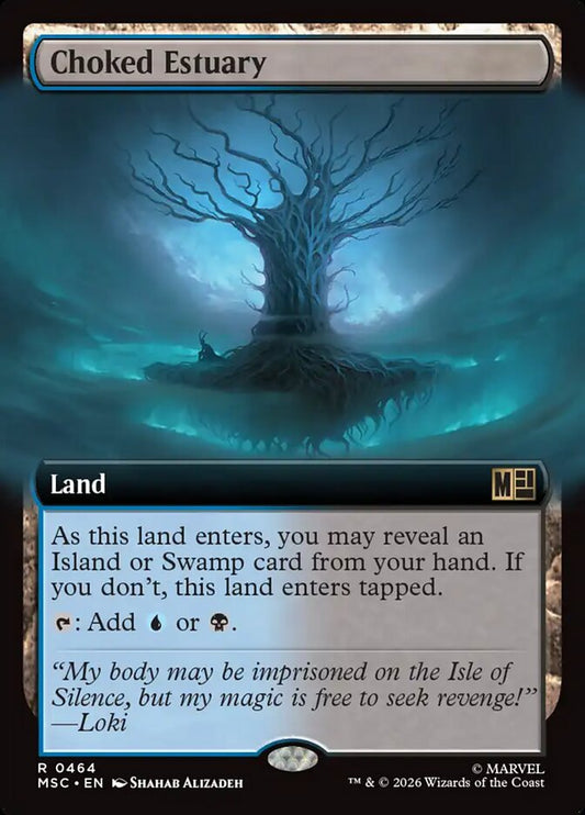 Choked Estuary Extended Art