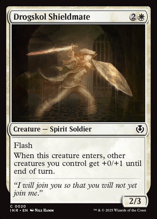 Drogskol Shieldmate Foil