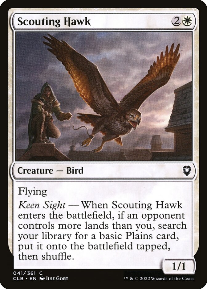Scouting Hawk Foil