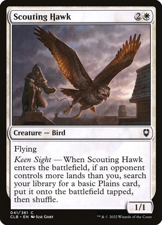 Scouting Hawk Foil