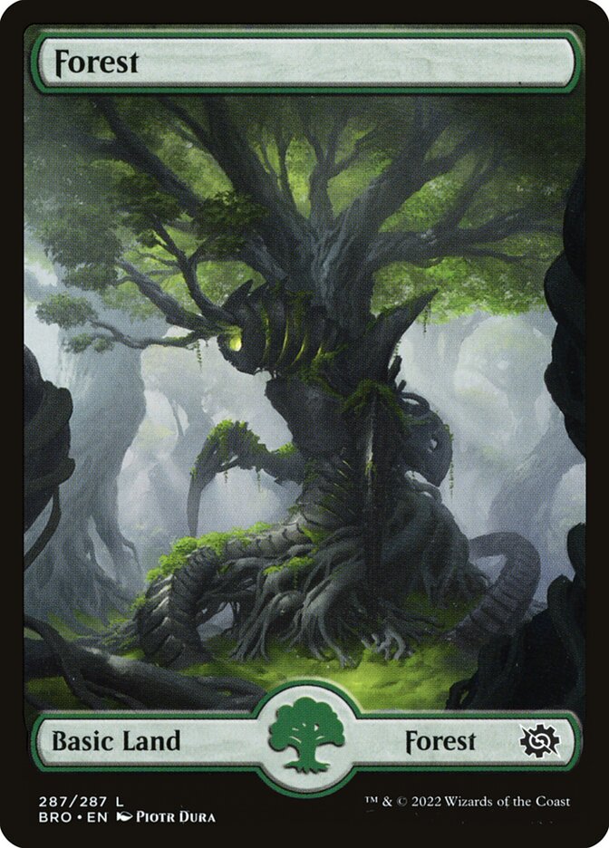 Forest Foil