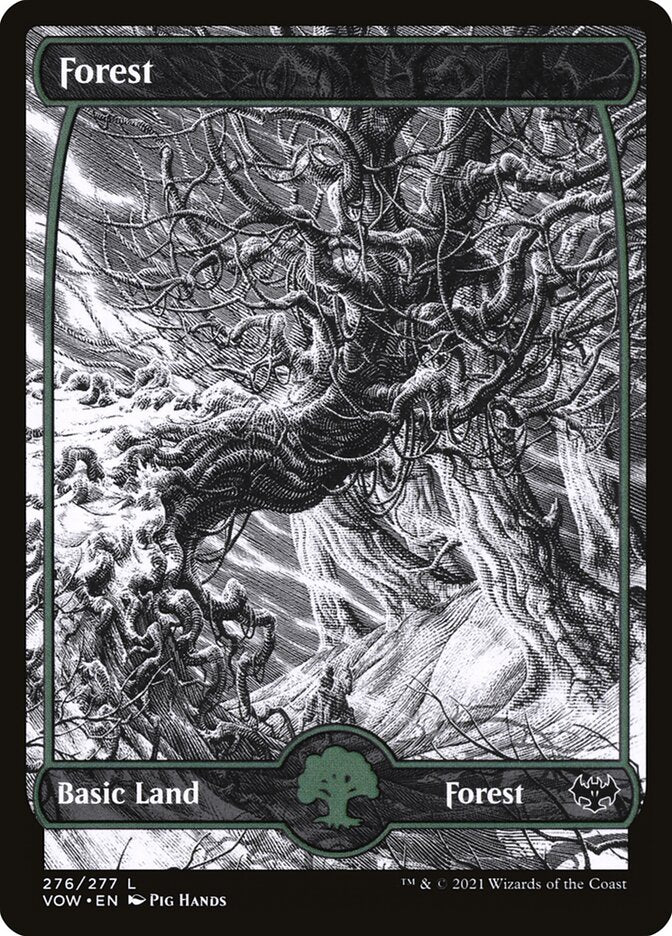 Forest Full art Foil