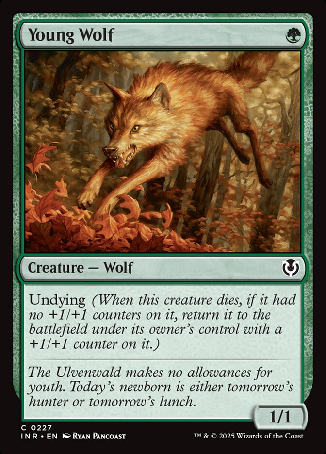 Young Wolf Foil