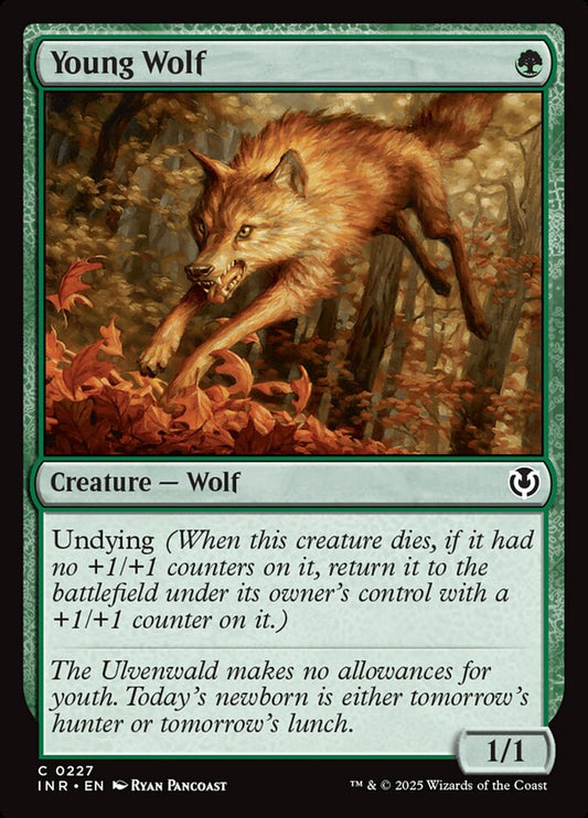 Young Wolf Foil