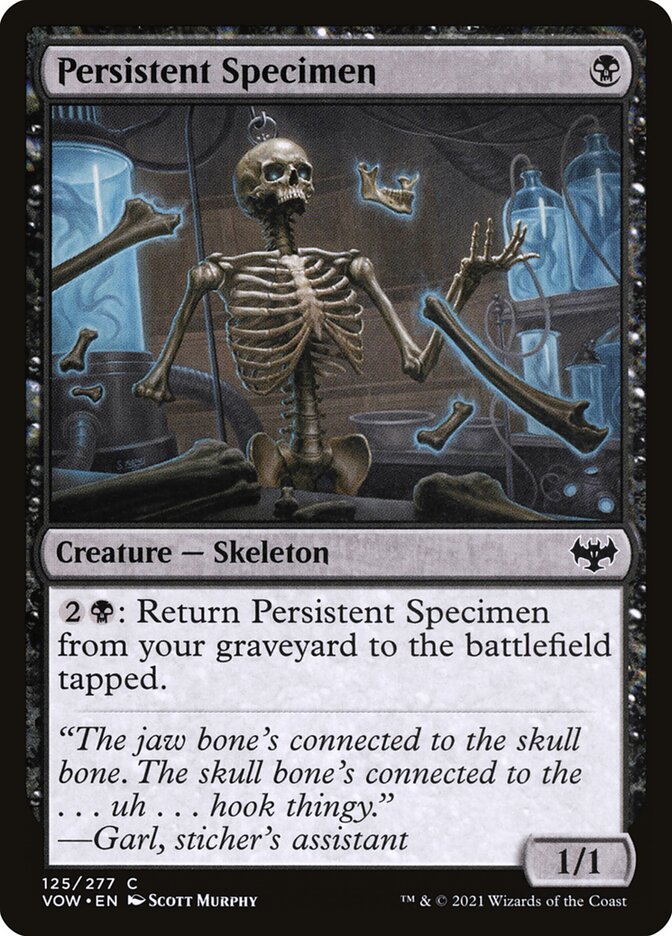 Persistent Specimen Foil