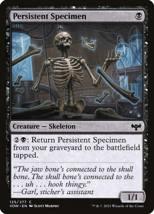 Persistent Specimen Foil