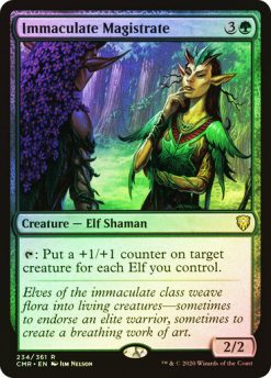 Immaculate Magistrate (3)