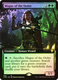 Magus of the Order (1)