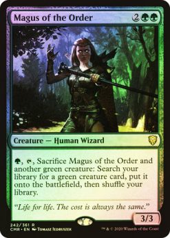 Magus of the Order (7)