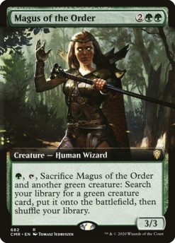 Magus of the Order (4)