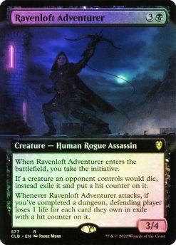 Ravenloft Adventurer (11)