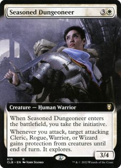 Seasoned Dungeoneer (18)