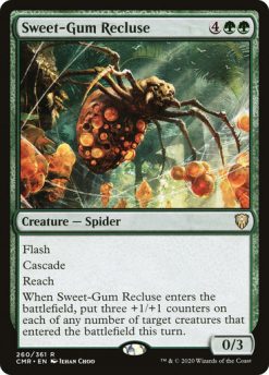 Sweet-Gum Recluse (1)