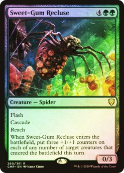 Sweet-Gum Recluse (5)